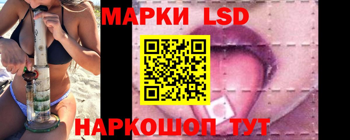 блэк спрут ссылка  Лсд 25 экстази кислота  Вход с VPN  Новороссийск  Лсд 25 экстази ecstasy 