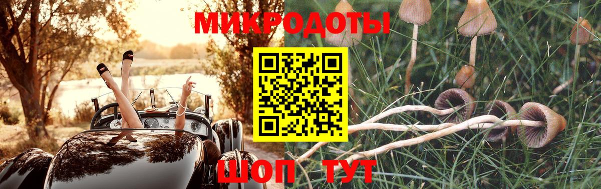 Новороссийск  Псилоцибиновые грибы Cubensis  Вход с VPN 